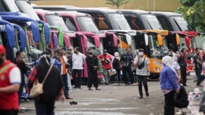 Mudik Gratis Kemenhub, 520 Armada Bus Dipersiapkan